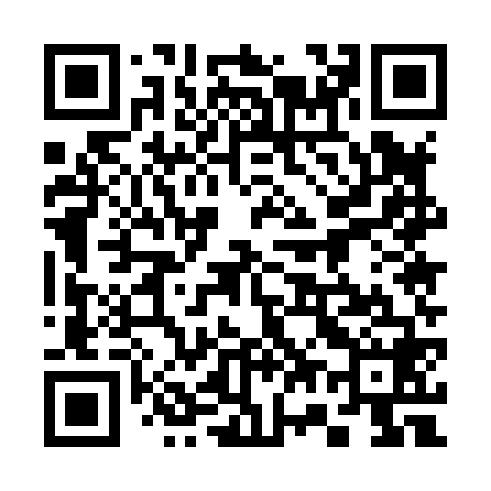 QR code for 375868