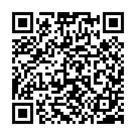 QR code for 376003