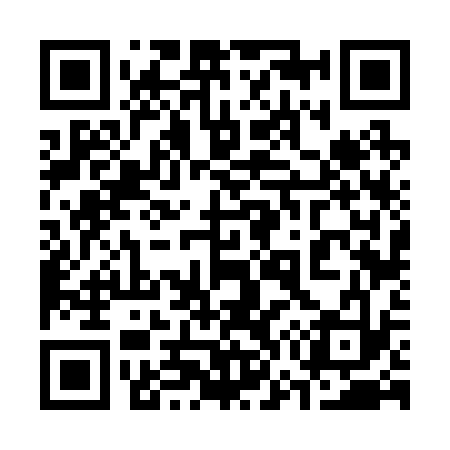 QR code for 376233