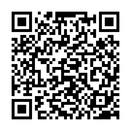 QR code for 376271