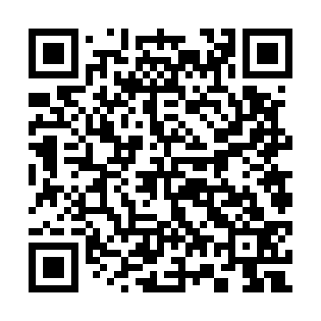 QR code for 376533