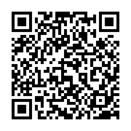 QR code for 376810