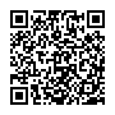 QR code for 378250
