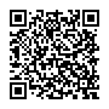 QR code for 379597