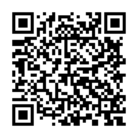 QR code for 379813