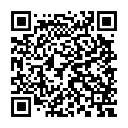 QR code for 380083