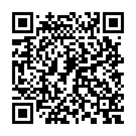 QR code for 380113