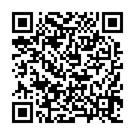QR code for 380214