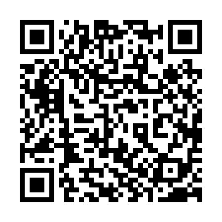 QR code for 380219