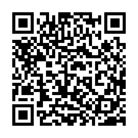 QR code for 380368