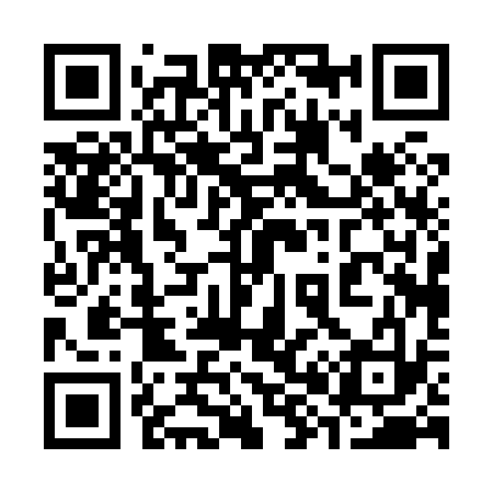 QR code for 380833
