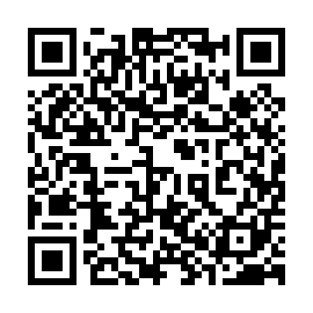 QR code for 381001