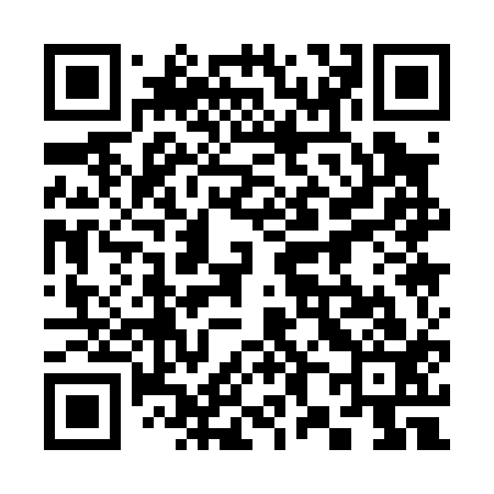 QR code for 381013