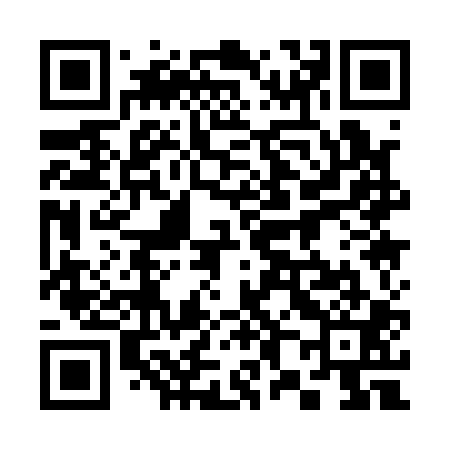 QR code for 381101
