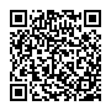QR code for 381102