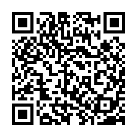 QR code for 381119