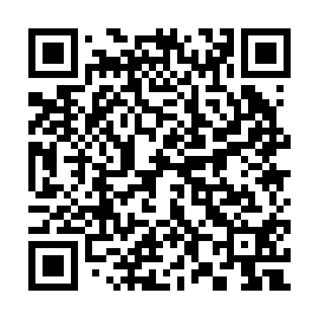 QR code for 381210