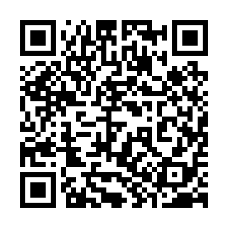 QR code for 381218