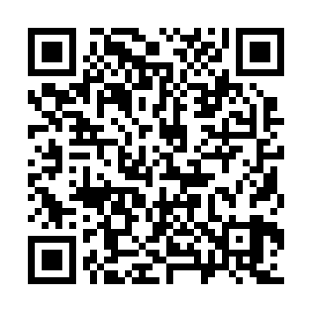 QR code for 381229