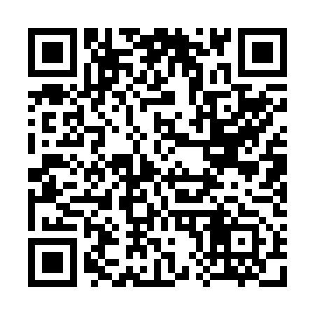 QR code for 381253