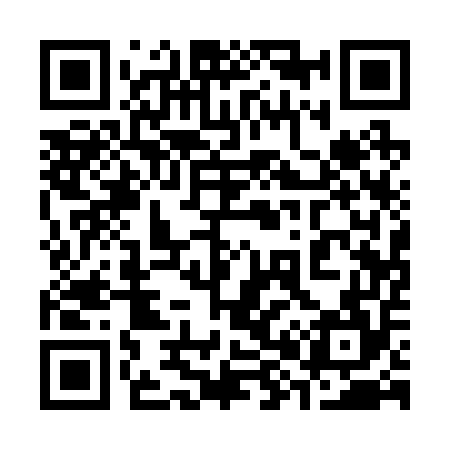 QR code for 381254