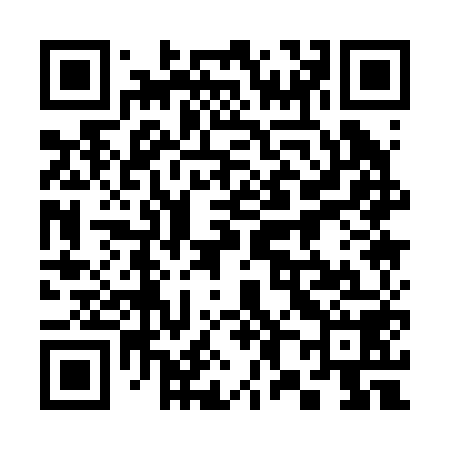 QR code for 381258