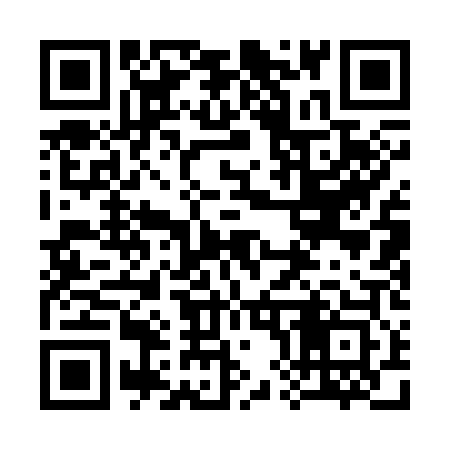QR code for 381303
