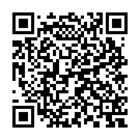 QR code for 381321