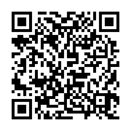QR code for 381322