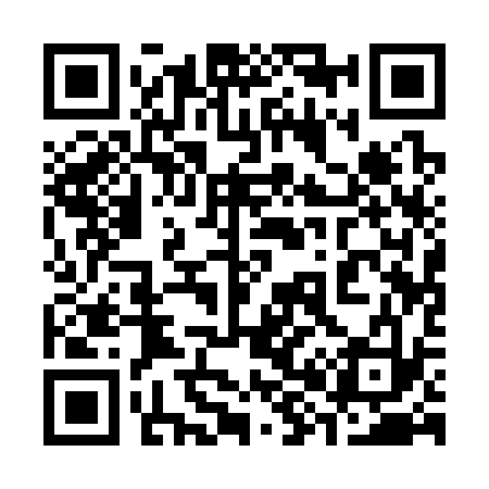 QR code for 381333