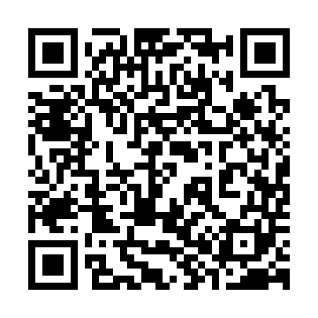 QR code for 381341