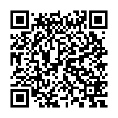 QR code for 381368