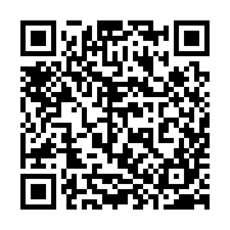 QR code for 381384