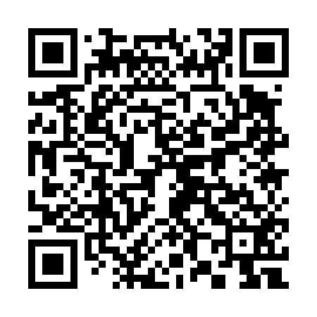 QR code for 381452