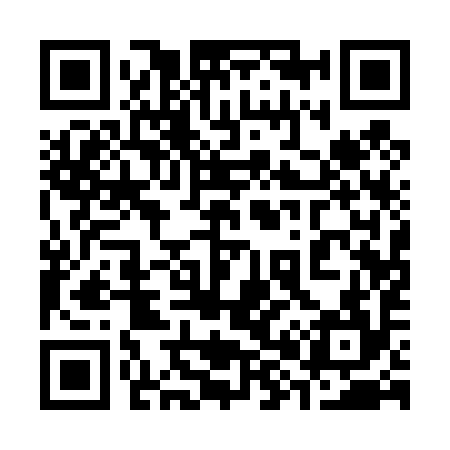 QR code for 381494