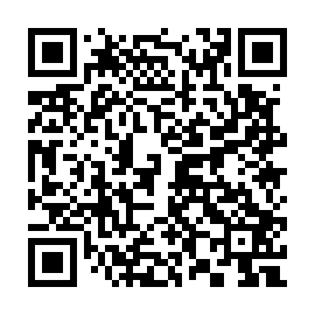 QR code for 381503