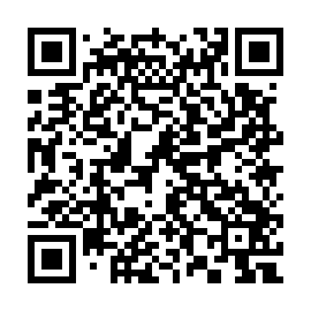QR code for 381543