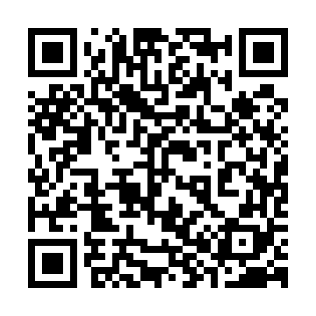 QR code for 381568