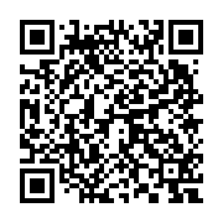 QR code for 381613