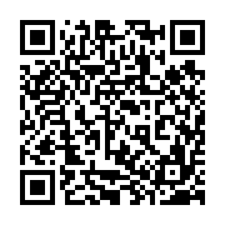 QR code for 381616