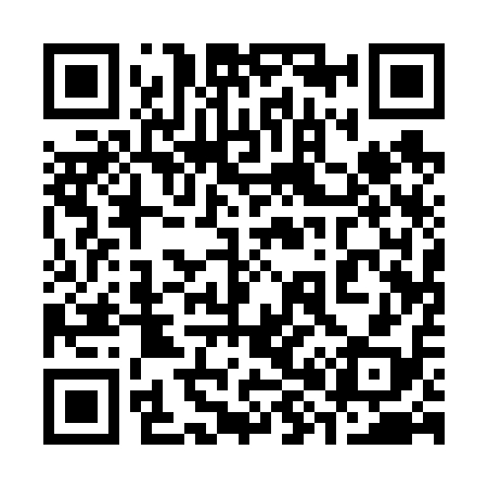 QR code for 381618