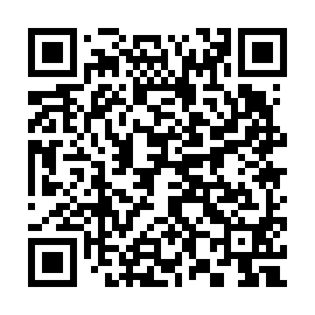 QR code for 381690