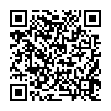 QR code for 381746