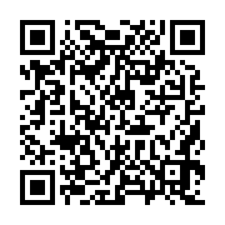 QR code for 381872