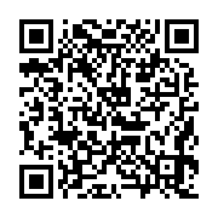QR code for 381873