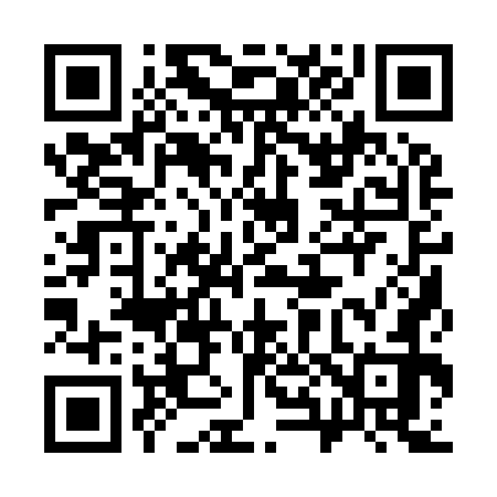 QR code for 381972