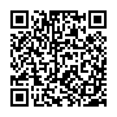 QR code for 382003