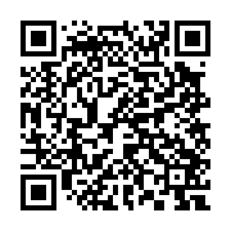 QR code for 382043