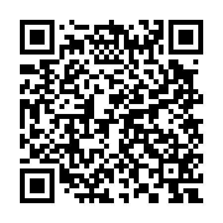 QR code for 382055