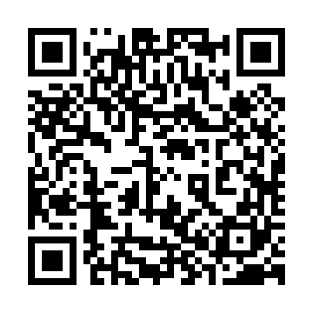 QR code for 382060